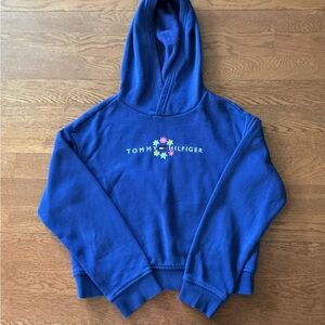 Tommy Hilfiger Blue Kids Hoodie